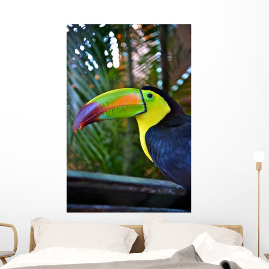Colorful Toucan Bird Mexico Wall Decal