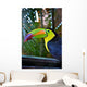 Colorful Toucan Bird Mexico Wall Decal