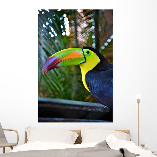 Colorful Toucan Bird Mexico Wall Decal