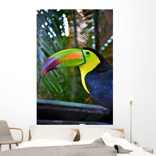 Colorful Toucan Bird Mexico Wall Decal