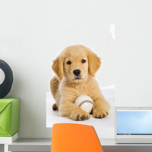 Golden Retriever Puppy with Wall Decal