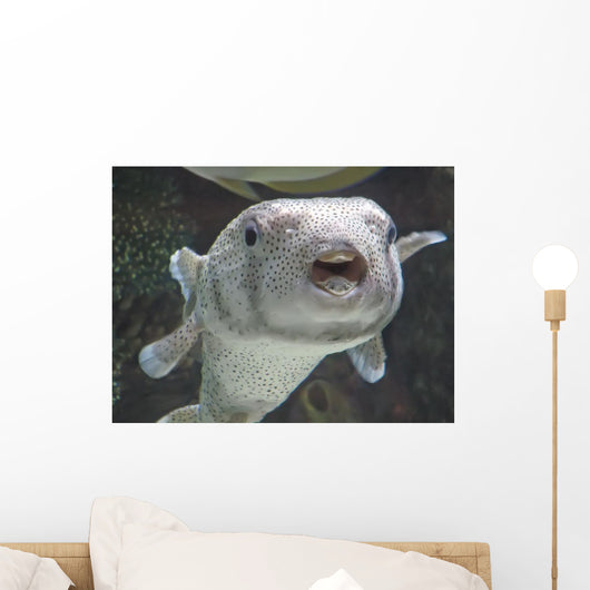 Puffer Fish Wall Decal