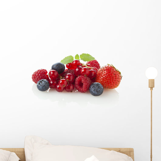 Various Berries Wall Decal