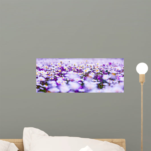 Daisy Field Wall Decal
