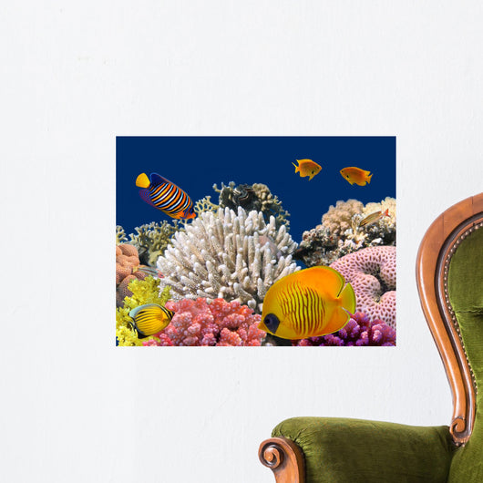 Underwater Life Hard-coral Reef Wall Decal