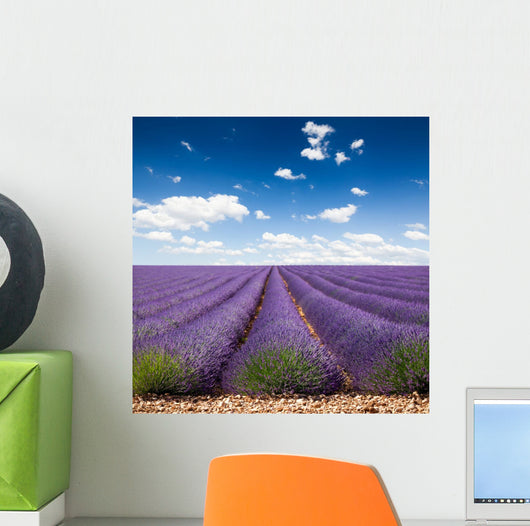 Provence France Lavender Wall Decal Design 2