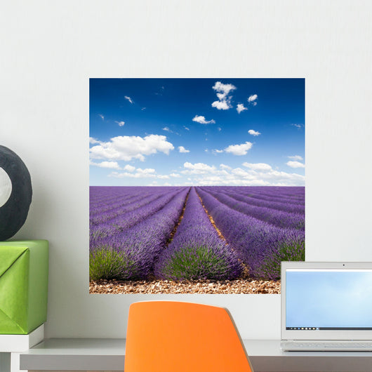 Provence France Lavender Wall Decal Design 2