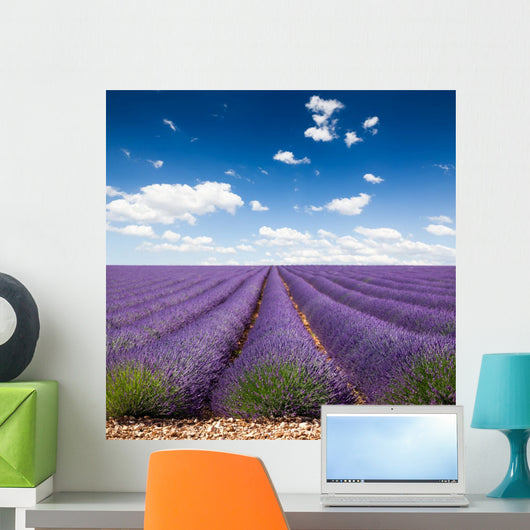 Provence France Lavender Wall Decal Design 2