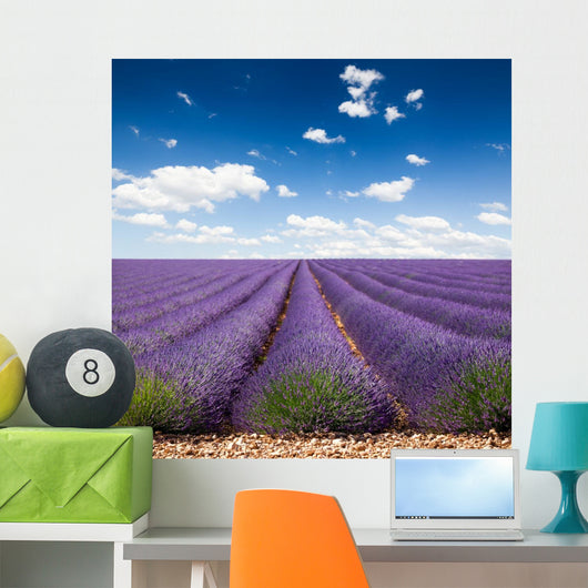 Provence France Lavender Wall Decal Design 2