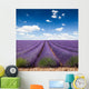 Provence France Lavender Wall Decal Design 2
