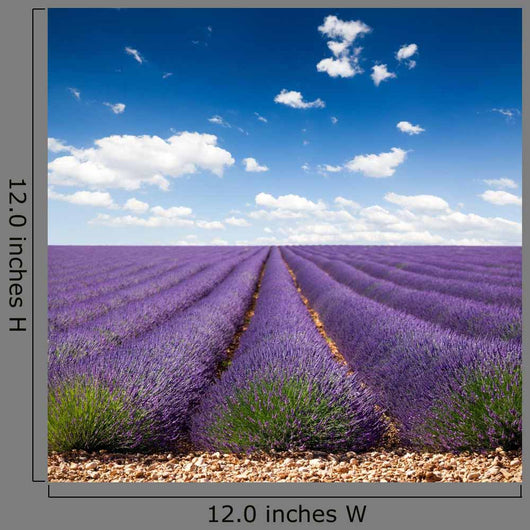 Provence France Lavender Wall Decal Design 2
