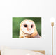 Barn Owl Close-up Wall Decal