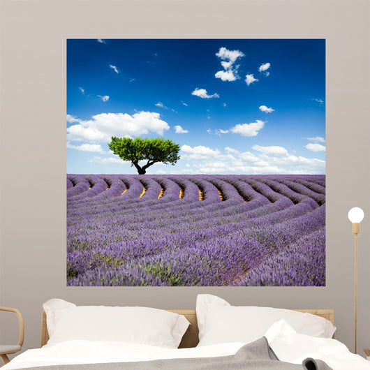 Provence France Lavender Wall Decal Design 1