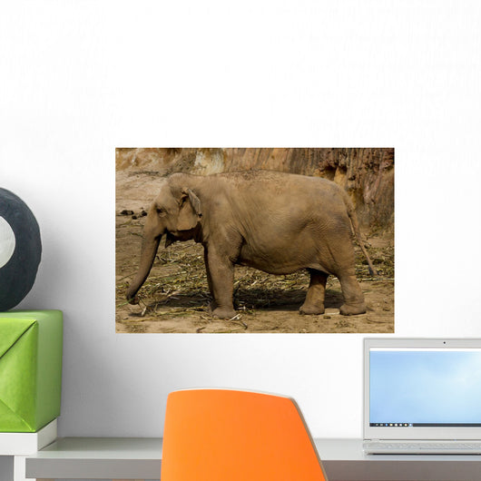 Elephant Wall Decal