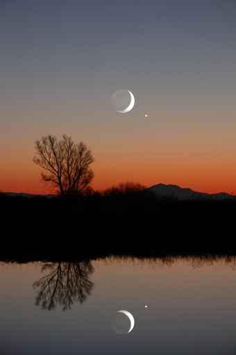 Winter Moon and Lone Wall Decal