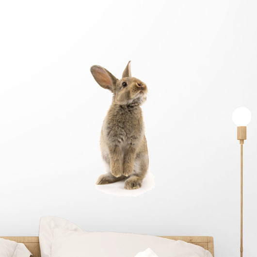 Adorable Rabbit White Wall Decal