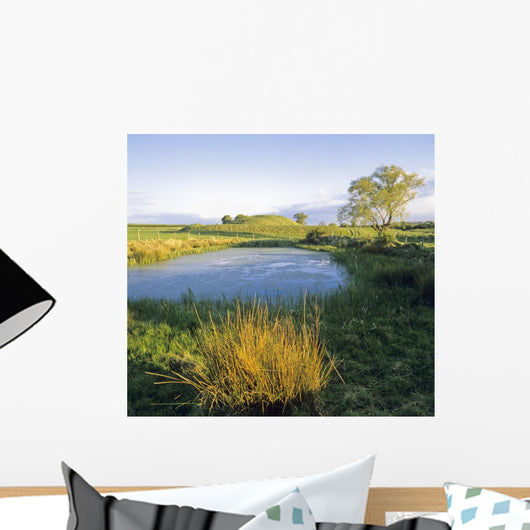 Pond in a Field Landscape Wall Decal
