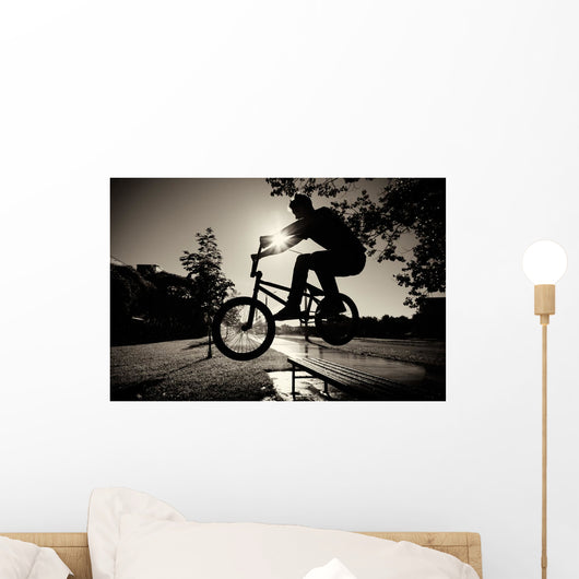 Boy Jumping Over Bench on Bmx Wall Mural