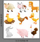 Farm Animals