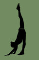 Funny Gymnastics