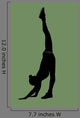 Funny Gymnastics
