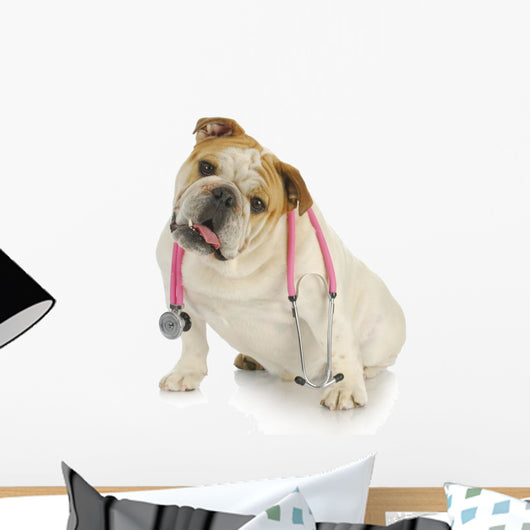 Dog With Stethoscope Wall Decal