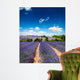 Provence France Lavender / lavender field in Provence, France Wall Mural