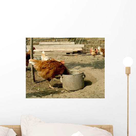 Hen Wall Mural