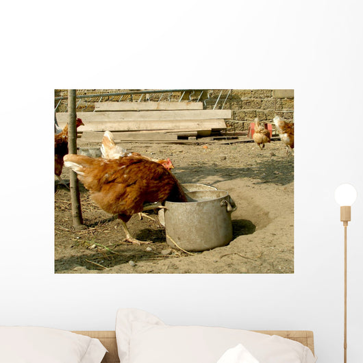Hen Wall Mural