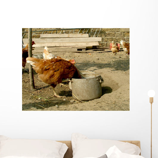 Hen Wall Mural