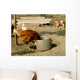 Hen Wall Mural
