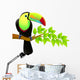 Vector Illustration Toucan Bird