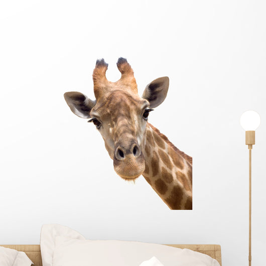 Giraffe Closeup Wall Decal