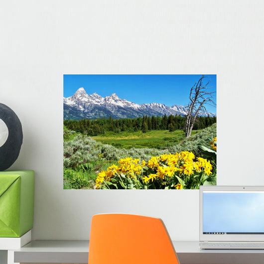 Grand Teton National Park