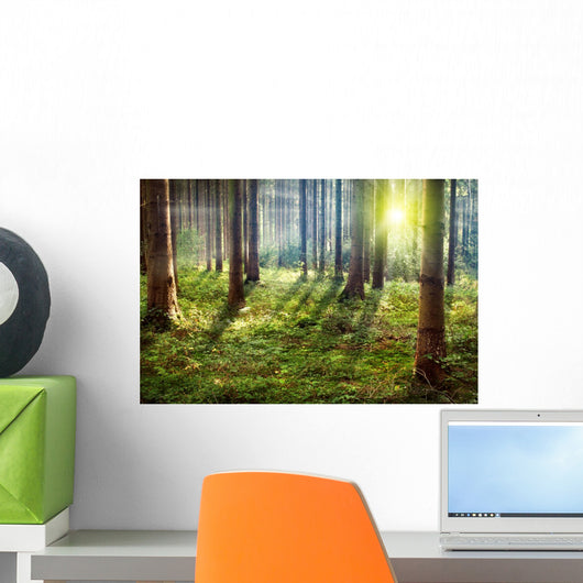 Forest Sunset