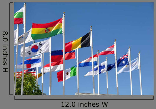 National Flags of the World Wall Mural