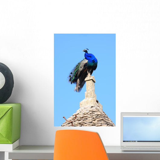 Peacock Wall Mural