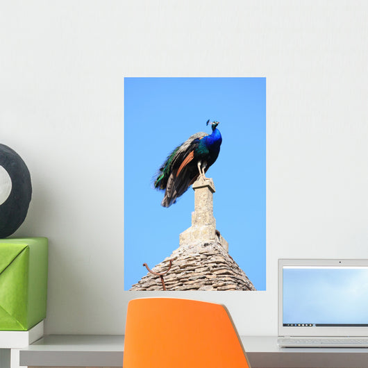Peacock