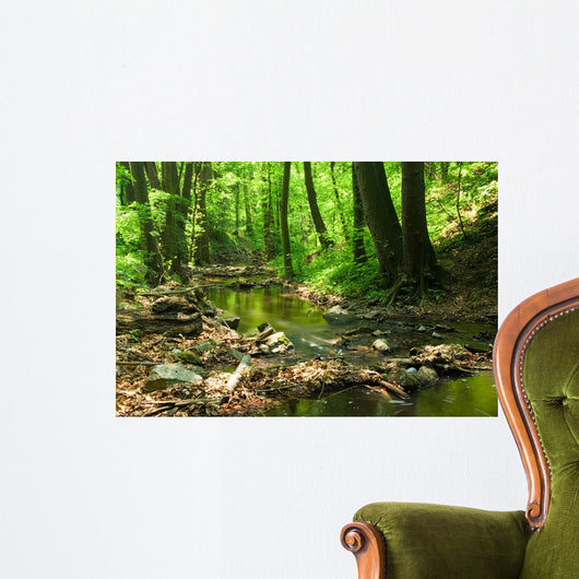mountain stream Wall Mural