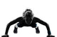 Woman Workout Fitness Posture Wall Decal