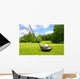 Golf Sport De Balle Wall Mural
