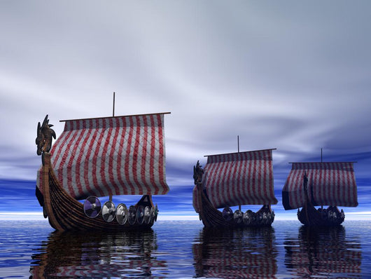 Viking Ships