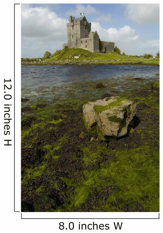 Dunguaire Castle Irlande Wall Mural