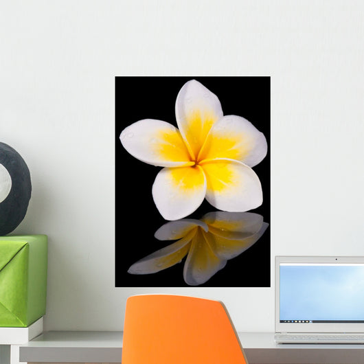 Leelawadee Flower and Its