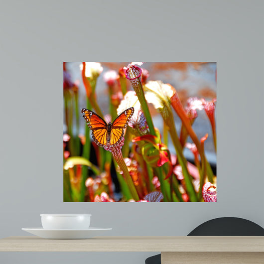 Butterfly Pitcher Plant Wall Decal