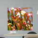 Butterfly Pitcher Plant Wall Decal