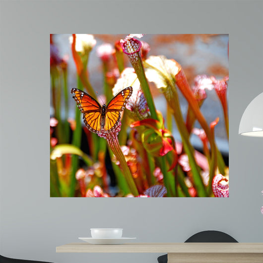 Butterfly Pitcher Plant Wall Decal