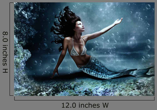 mermaid Wall Mural