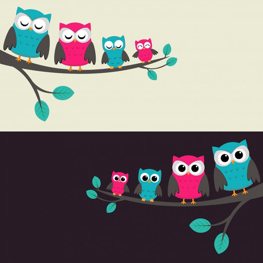 Family of Owls Sitting on a Branch Wall Mural