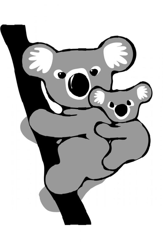 Koala Et Son Petit